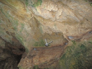 غارزیان احتمالی در غار سهولان 